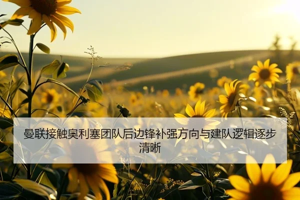 曼联接触奥利塞团队后边锋补强方向与建队逻辑逐步清晰