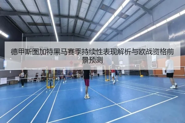 德甲斯图加特黑马赛季持续性表现解析与欧战资格前景预测