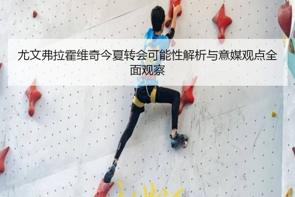 尤文弗拉霍维奇今夏转会可能性解析与意媒观点全面观察